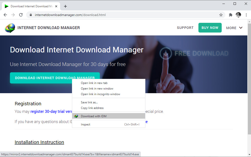 IDM (Internet Download Manager)
