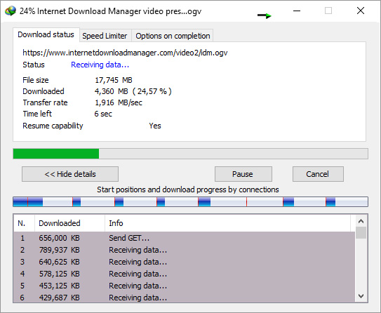 IDM (Internet Download Manager)
